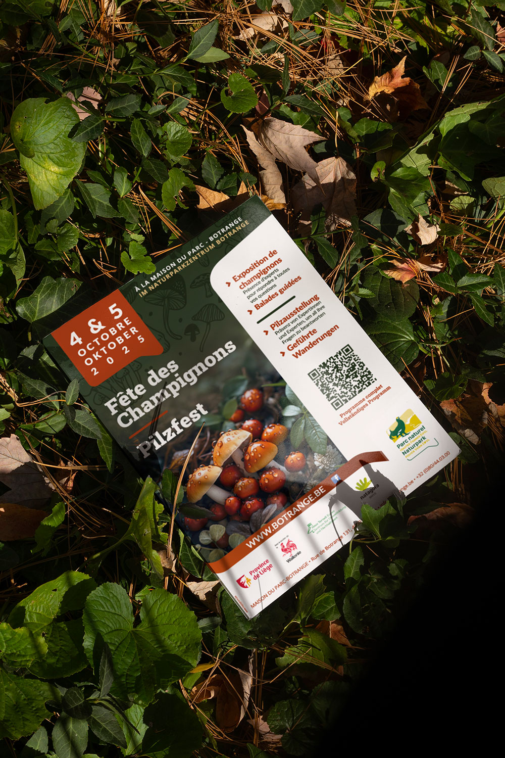 mdp_affiche-fete-champignons